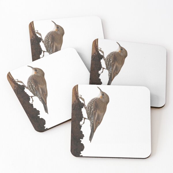 Item preview, White-throated Treecreeper designed and sold by quentinjlang.