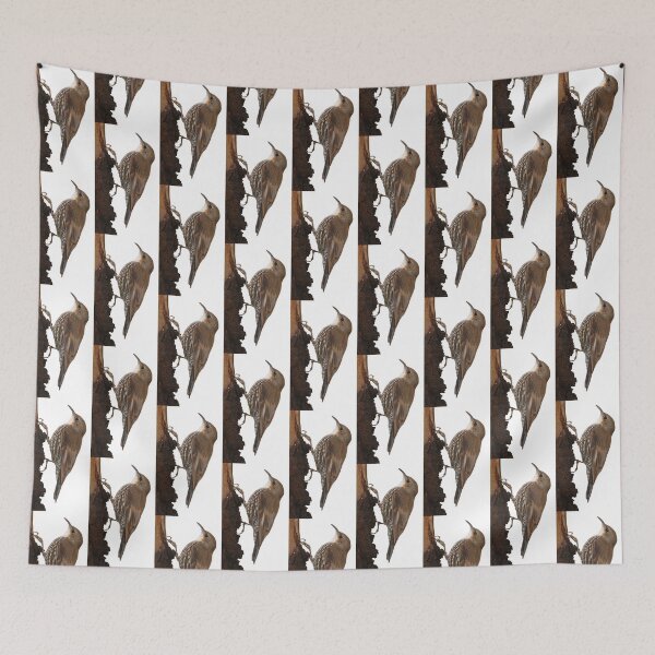 Item preview, White-throated Treecreeper designed and sold by quentinjlang.