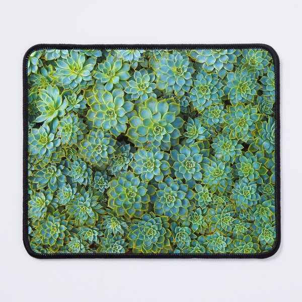 Item preview, Green Succulent designed and sold by WheresMyMojo.