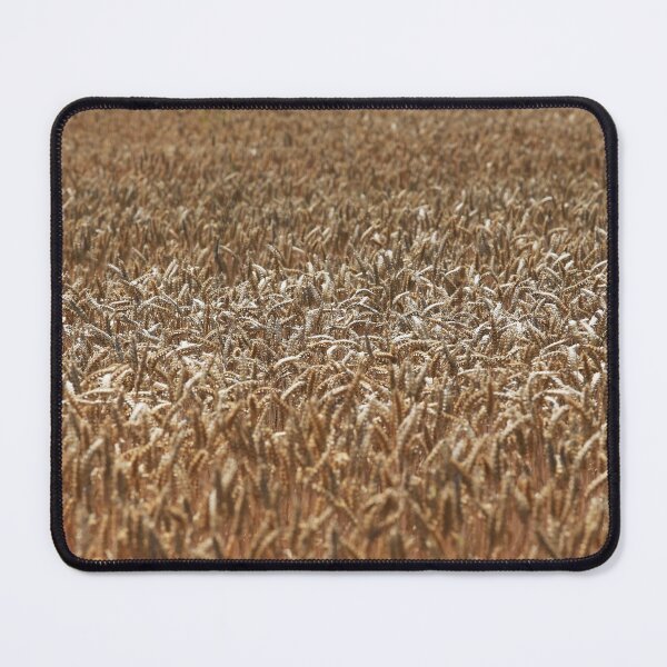 Item preview, Golden Wheat Field designed and sold by WheresMyMojo.