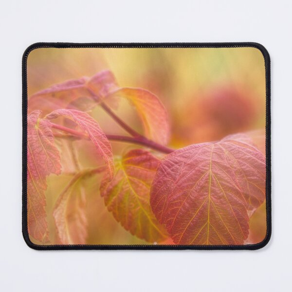 Item preview, Raspberry designed and sold by Veikko  Suikkanen.