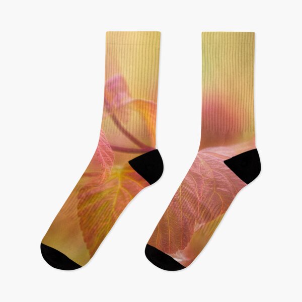 Item preview, Raspberry designed and sold by Veikko  Suikkanen.