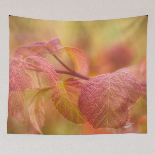 Item preview, Raspberry designed and sold by Veikko  Suikkanen.