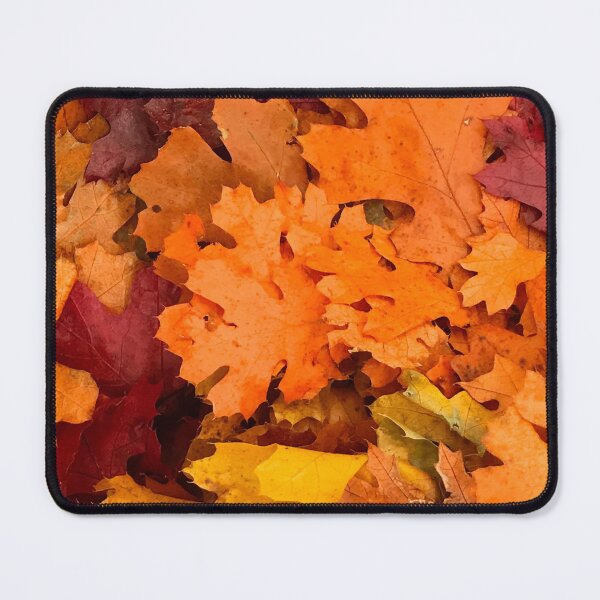 Item preview, Autumn Pumpkin-Orange and Sunset-Red Spectacular Leaves Art Photo designed and sold by DEC02.
