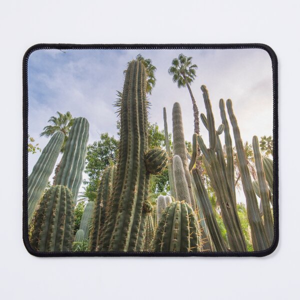 Item preview, Cactus and tropical palms in Majorelle Garden designed and sold by mitzobs.