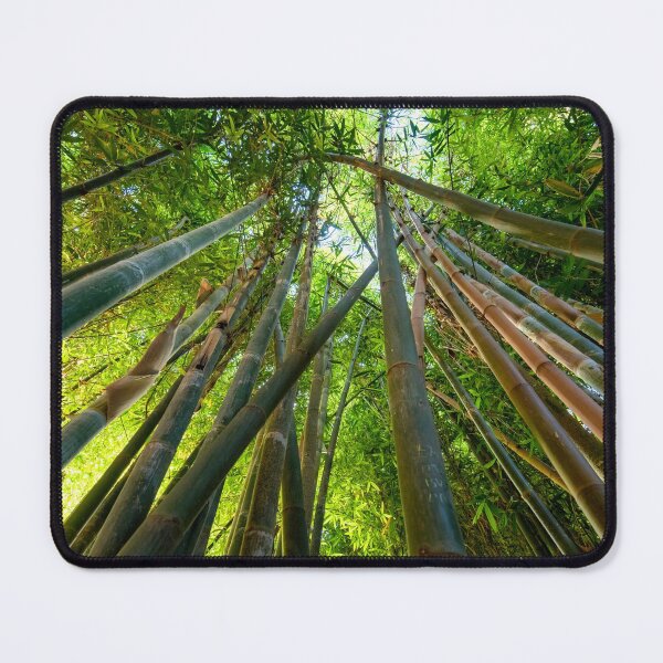 Item preview, Green bamboo forest designed and sold by mitzobs.