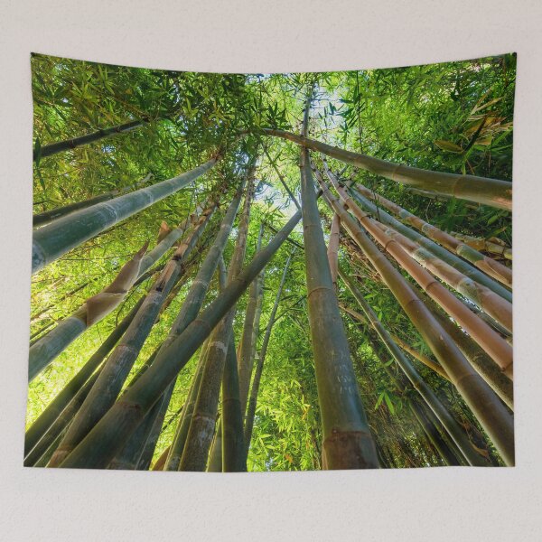 Item preview, Green bamboo forest designed and sold by mitzobs.