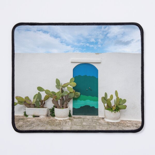Item preview, Blue door with cactus and white wall designed and sold by mitzobs.