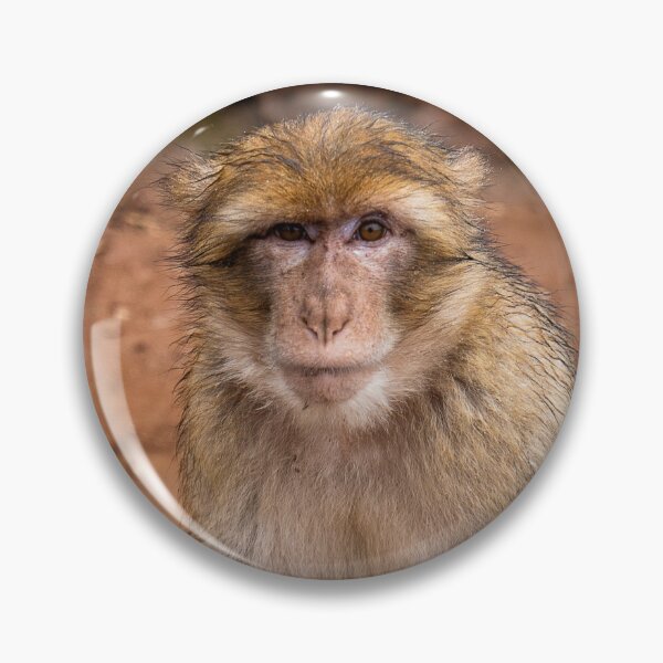 Item preview, Barbary Macaque Monkey designed and sold by mitzobs.