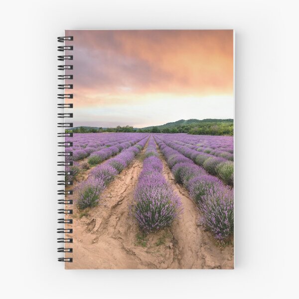 Item preview, Lavender field at sunset designed and sold by mitzobs.