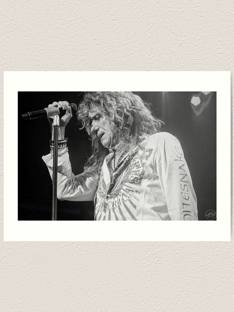 "Whitesnake" Art Print by AluraSierra | Redbubble