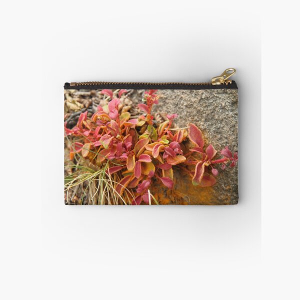 Item preview, Fire bush designed and sold by DianaC.