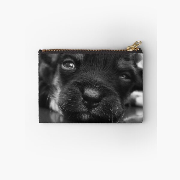 Item preview, Baxter designed and sold by Rebecca Bryson.