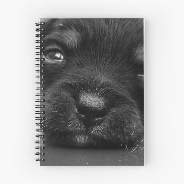 Item preview, Baxter designed and sold by Rebecca Bryson.