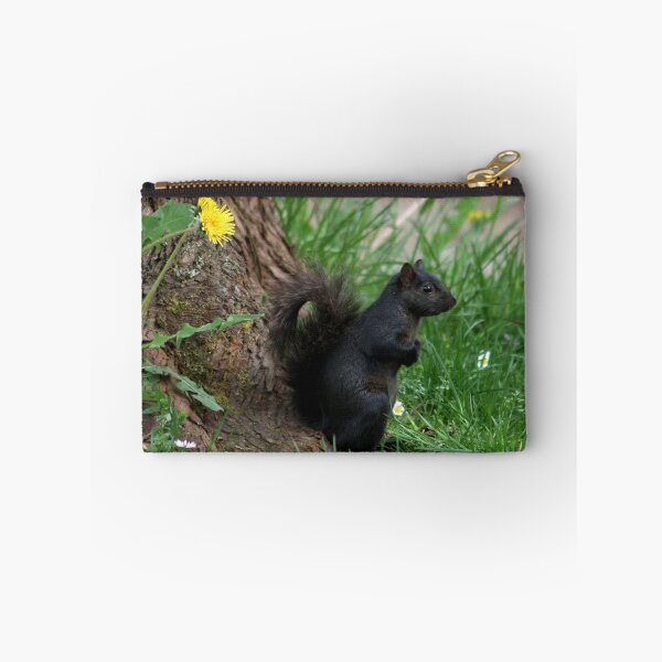 Aperçu de l'œuvre Shading Squirrel and Dandelion créée et vendue par AnnDixon.