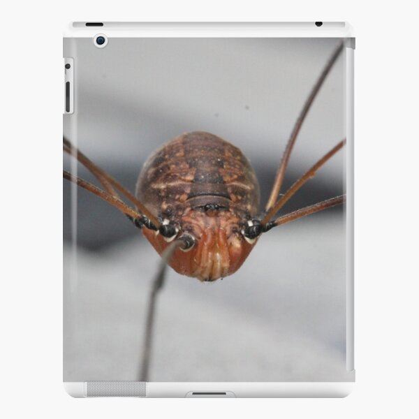 The Truth About Daddy Long Legs | iPad Case & Skin