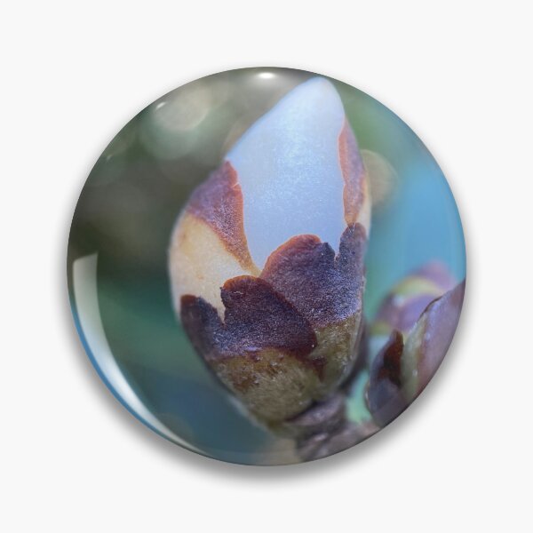 Item preview, Flowerbud on a Tree designed and sold by Sinemathk.