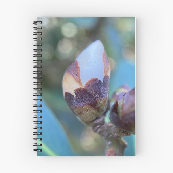 Item preview, Flowerbud on a Tree designed and sold by Sinemathk.