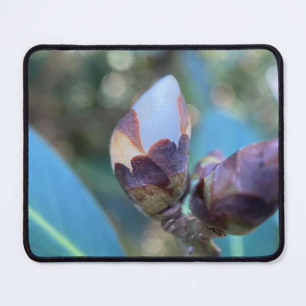 Item preview, Flowerbud on a Tree designed and sold by Sinemathk.