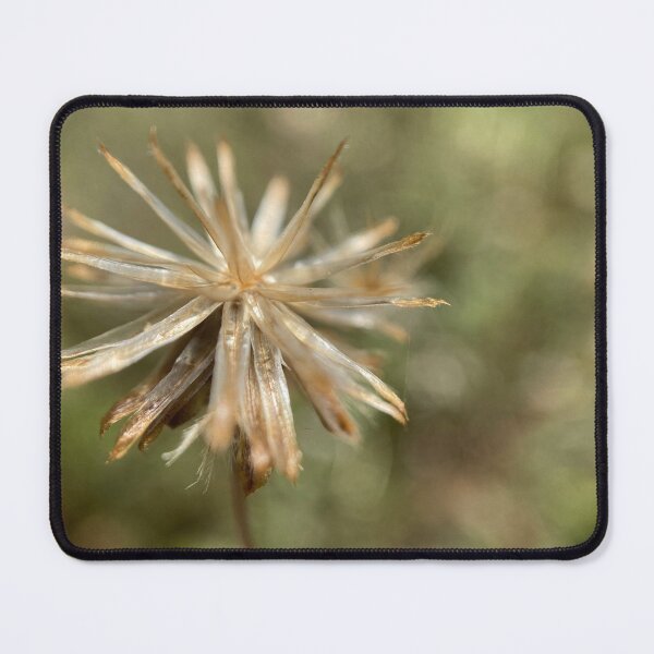 Item preview, Blooming Flower designed and sold by Sinemathk.