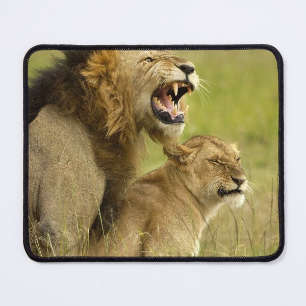 Item preview, Love is in the air. The lion love designed and sold by Ingo Gerlach.