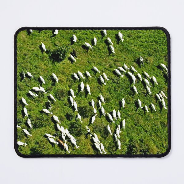 Item preview, Sheeps designed and sold by DRONY.