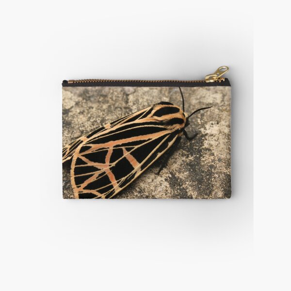 Item preview, Patterns of Nature designed and sold by Lynn Gedeon.