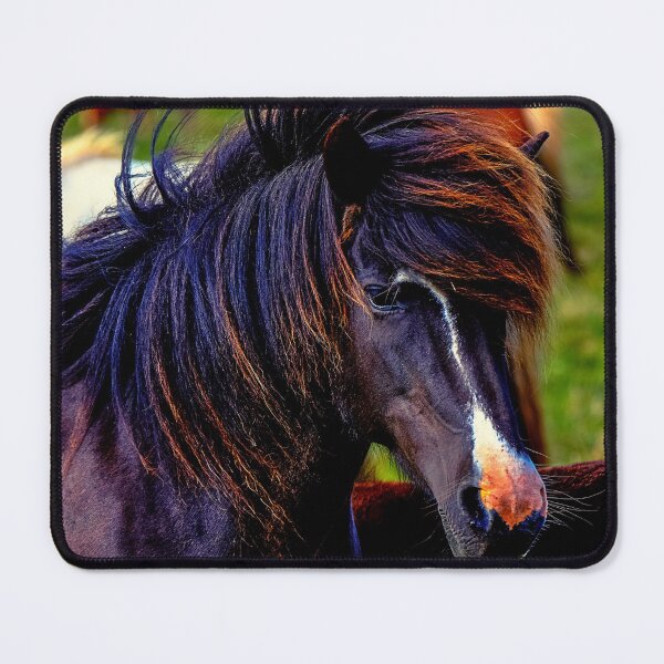 Item preview, horse photo with high resolution quality designed and sold by Allyouneed-2.