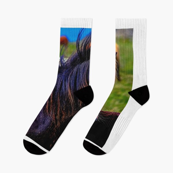 Item preview,  horse photo with high resolution quality designed and sold by Allyouneed-2.