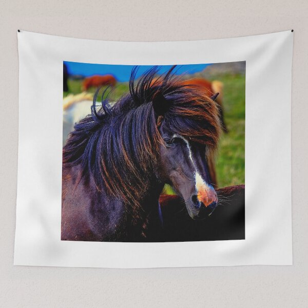 Item preview,  horse photo with high resolution quality designed and sold by Allyouneed-2.