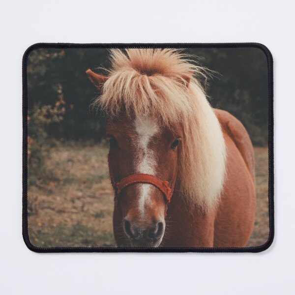 Item preview, horse photo with high resolution quality designed and sold by Allyouneed-2.