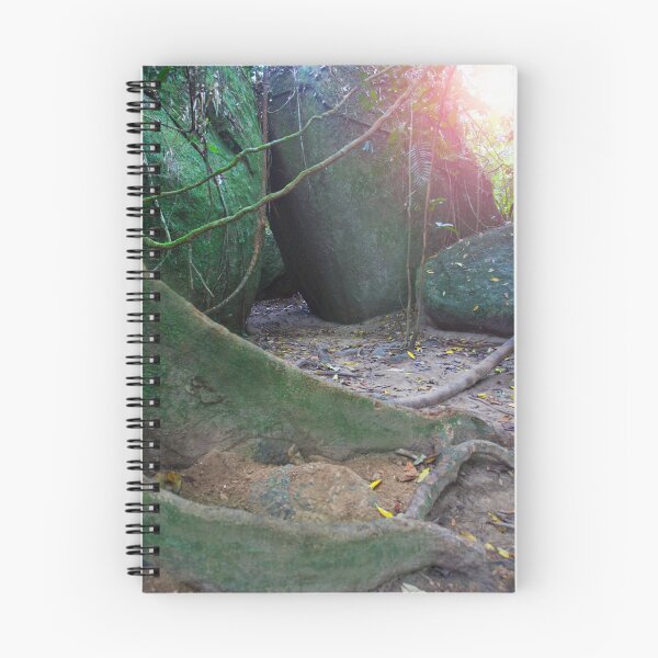 Artikelvorschau, Mossman-Schlucht, Daintree-Regenwald, tropisches Nord-Queensland entworfen und verkauft von Marc Russo.