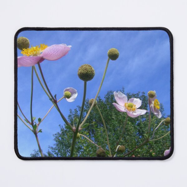 Item preview, Anemone Japonica  designed and sold by angel1.