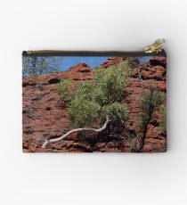 in Cycad Gorge - looking up Studio Pouch