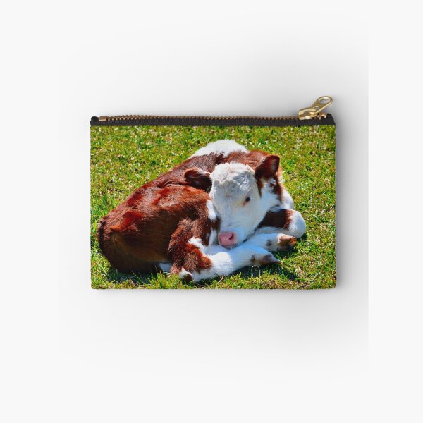 Item preview, Curled-up Calf designed and sold by Bami.