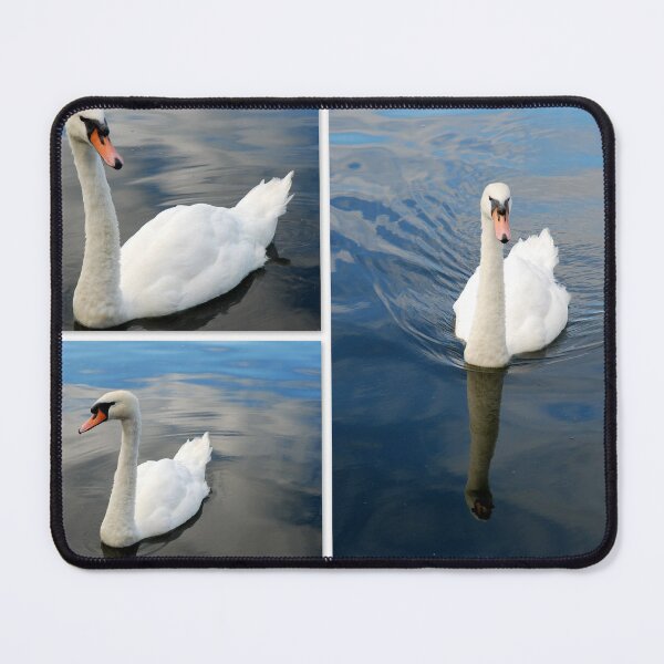 Item preview, Graceful swans designed and sold by angel1.