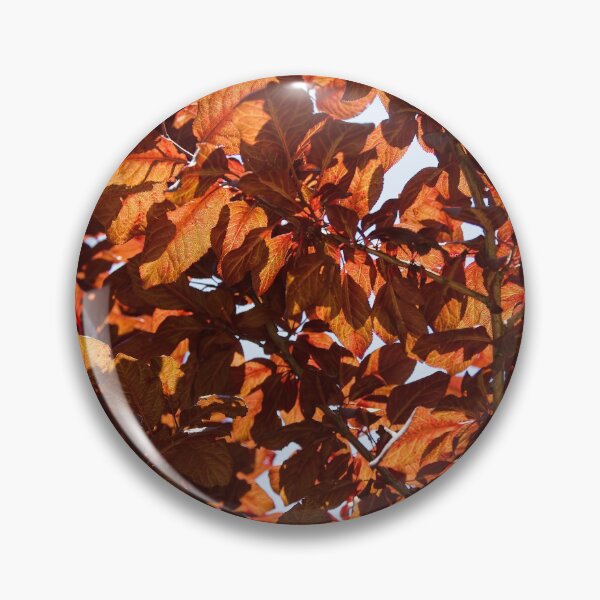 Item preview, Orange shadow designed and sold by Kiran-Fine-Art.