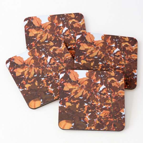 Item preview, Orange shadow designed and sold by Kiran-Fine-Art.