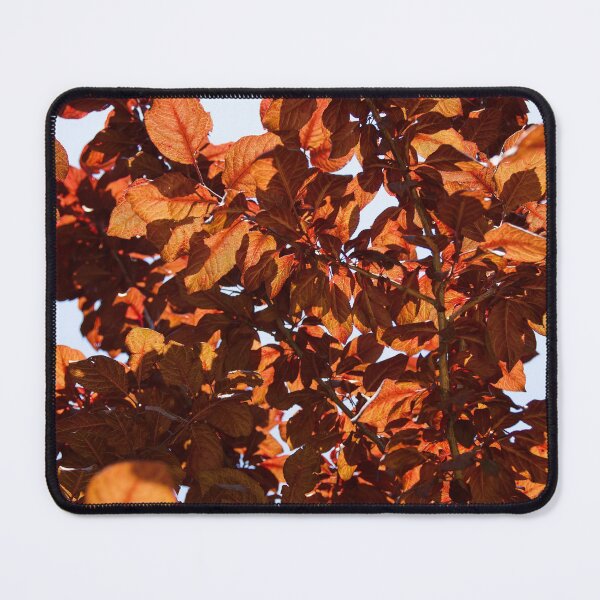 Item preview, Orange shadow designed and sold by Kiran-Fine-Art.
