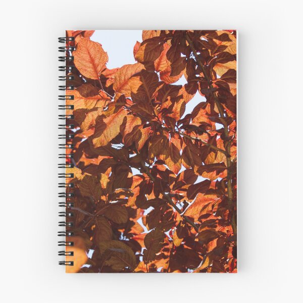 Item preview, Orange shadow designed and sold by Kiran-Fine-Art.