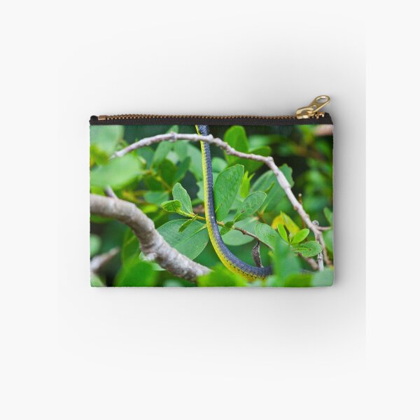 Item preview, Common tree snake, Daintree rain forest, Far North Queensland designed and sold by Marc Russo.
