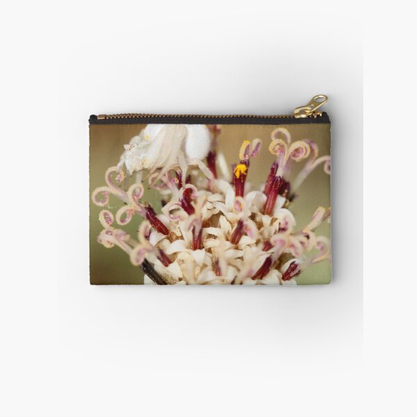 Item preview, Misumena vatia designed and sold by Rina Greeff.