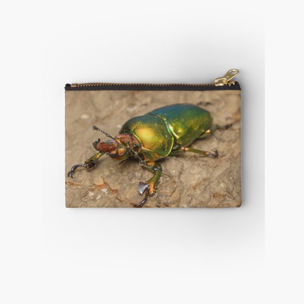 Item preview, Golden stag beetle - Lamprina sp. designed and sold by Andrew Trevor-Jones.