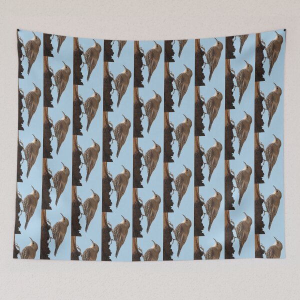 Item preview, White-throated Treecreeper 2 designed and sold by quentinjlang.
