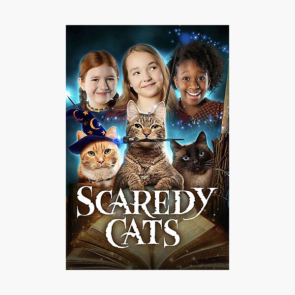 Scaredy cats Photographic Print by Getaway21