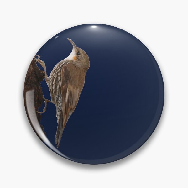 Item preview, White-throated Treecreeper 3 designed and sold by quentinjlang.