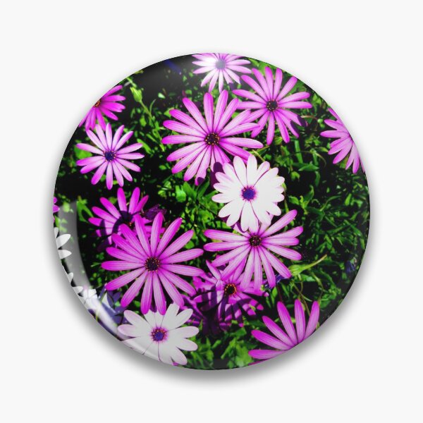 Item preview, COLOURFUL DAISIES designed and sold by Steffi August.