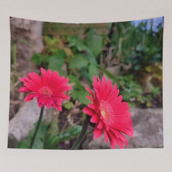 Item preview, Garvinia Flowers (Gerbera) designed and sold by JonDelorme.
