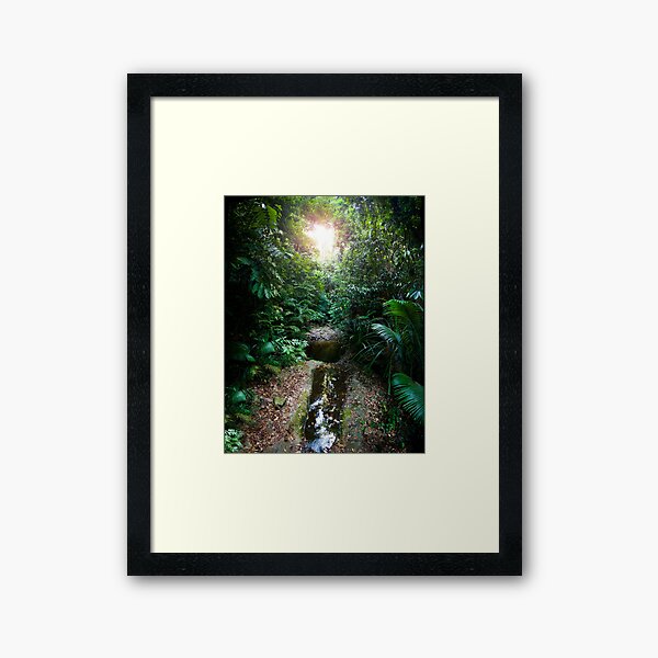 Item preview, Daintree rainforest water hole designed and sold by Marc Russo.