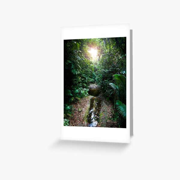 Item preview, Daintree rainforest water hole designed and sold by Marc Russo.